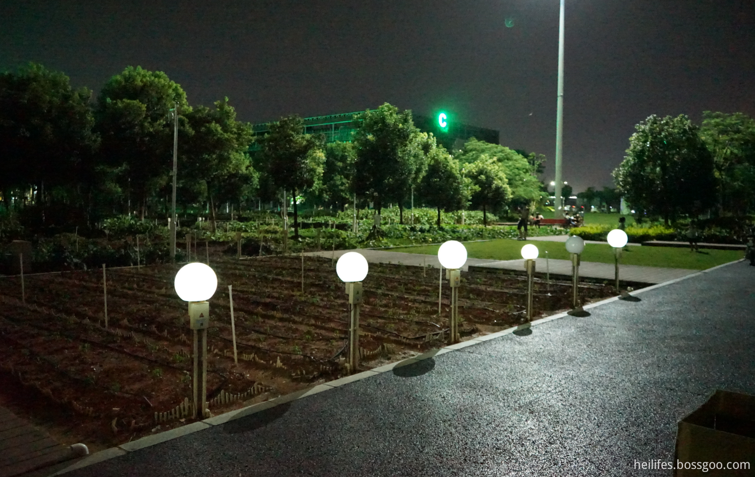Solar Wall LED Light Ball