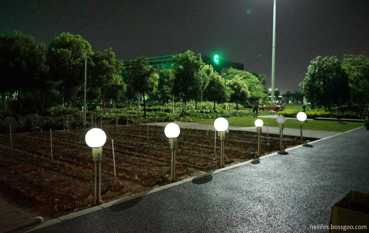 LED Solar Colorful Landscape Lamp