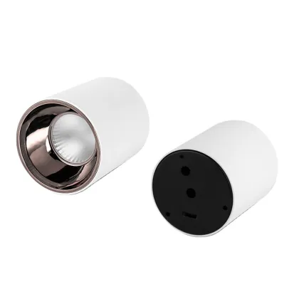 Ecolux 20W Energy Saving LED Downlight