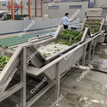 Fruit and vegetable bubble washer for processing line