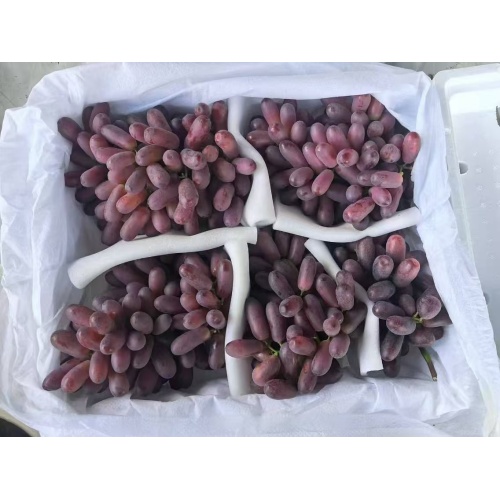 Greanson මිදි