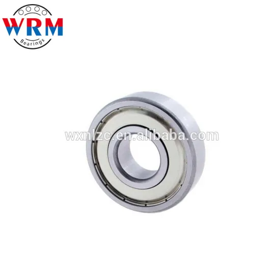 6020 Bearing for sterilizer,bearing for sterilizer