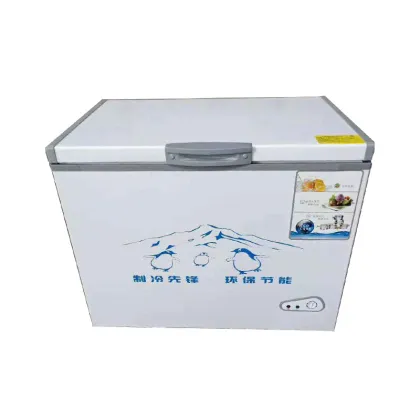 Commercial Horizontal Refrigerator with Large Capacity