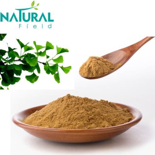 Ginkgo Biloba Leaf Extract Powder Cosmetic raw material Ginkgo Biloba leaf Extract Powder Manufactory