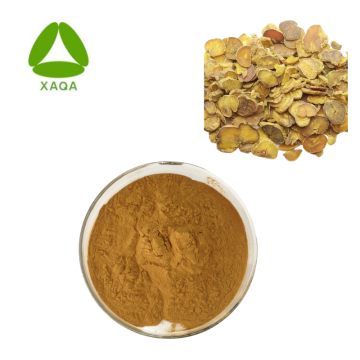 Antipyretic Rhizoma Corydalis Yanhusuo Extract Powder