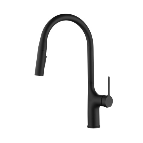 Multifunctional Black Solid Brass Pull Out Kitchen Faucet