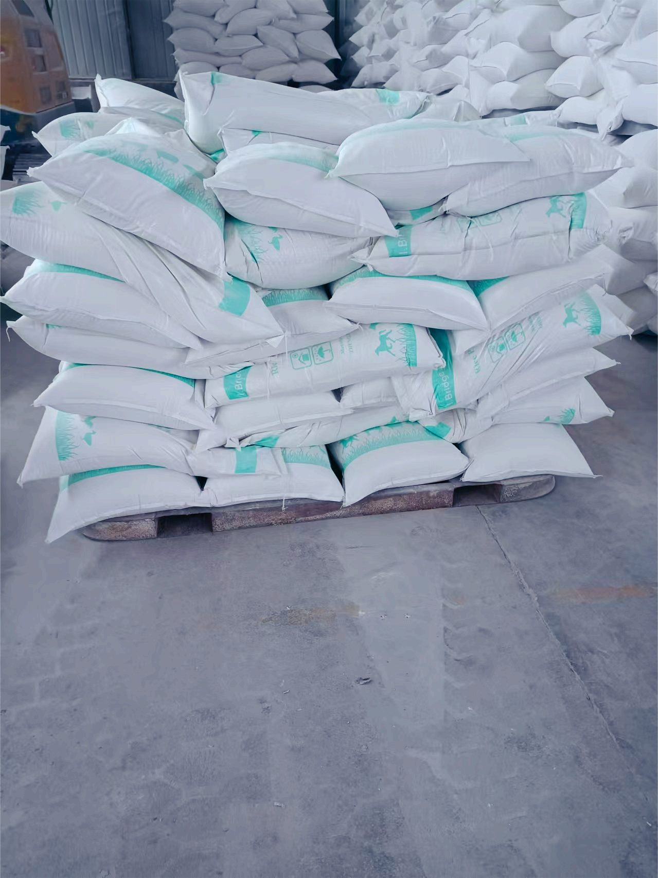 Rice Protein Powder 70% (4)