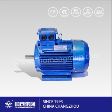 Guomao AC Motor Y2 Standard 3 Phase Asynchronous Motor
