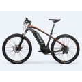 Customized 1000W Mid Drive Ebike