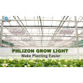 Full Spectrum LED-groeilampen voor planten