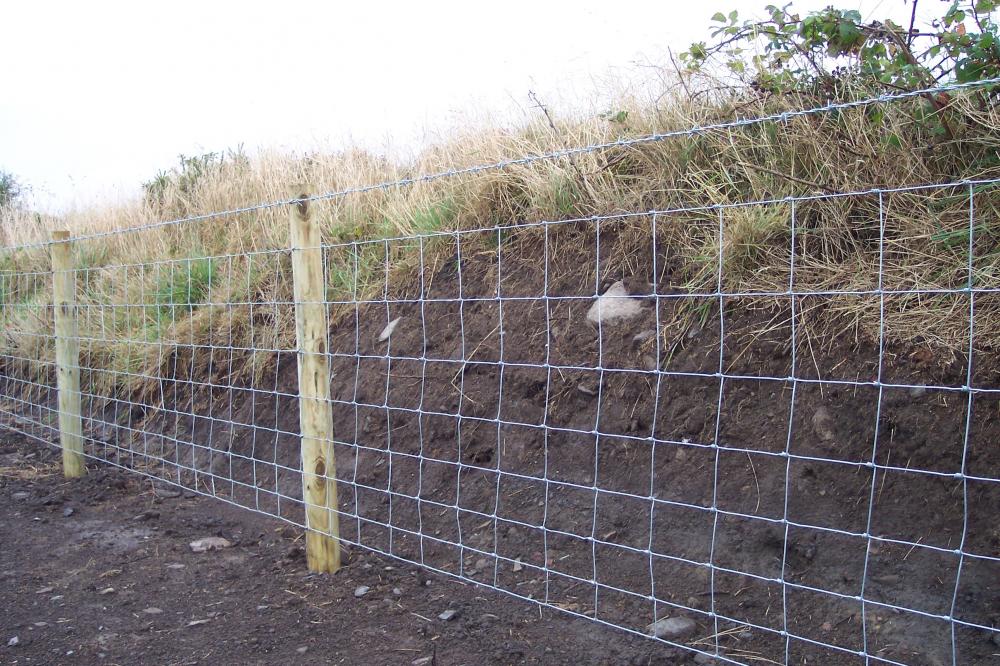 wholesale fixed knot farm guard filed fence