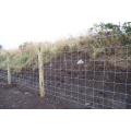 wholesale fixed knot farm guard filed fence