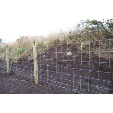 heavy galvanised hinge joint stock fencing filed fence