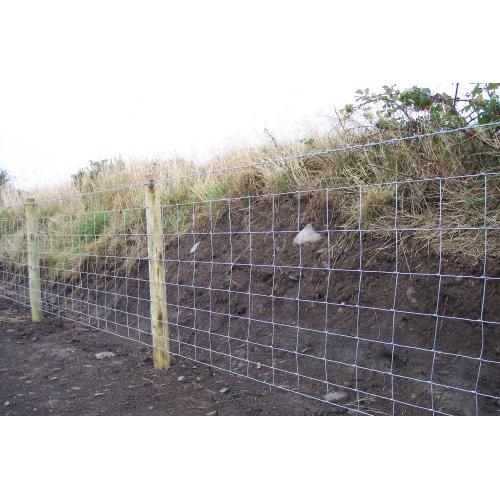 deer fence height AND LENGTH