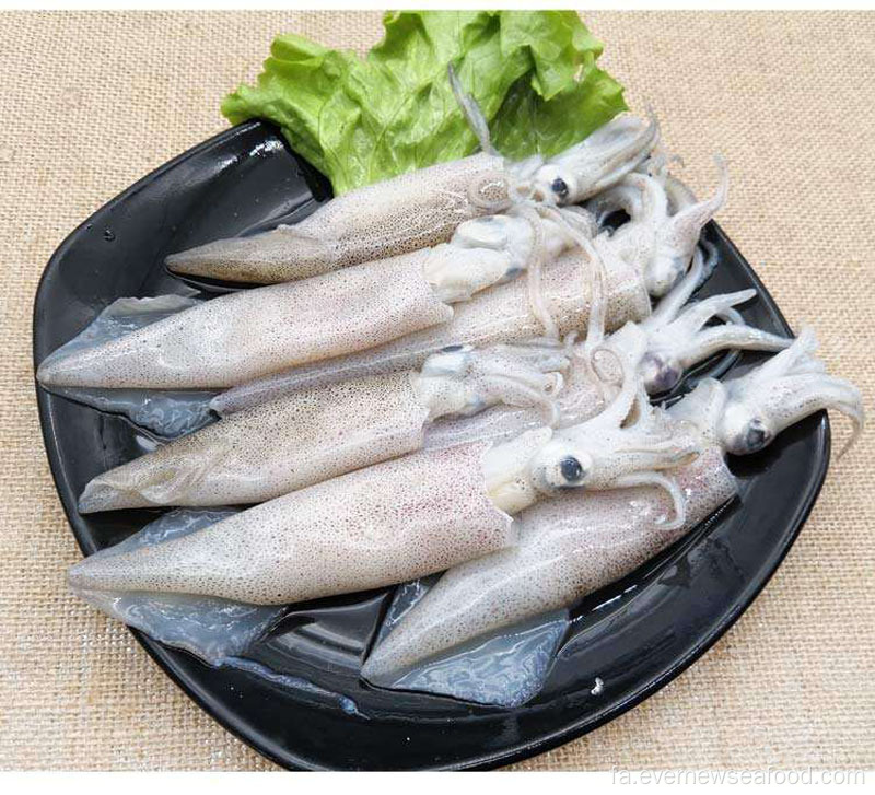 غذاهای دریایی منجمد لولیگو ژاپنی