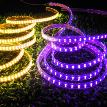 CE & RoHS approved! LED Strip Light SMD 5050 Double Row Purple