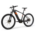 Customized ebike with torque sensor