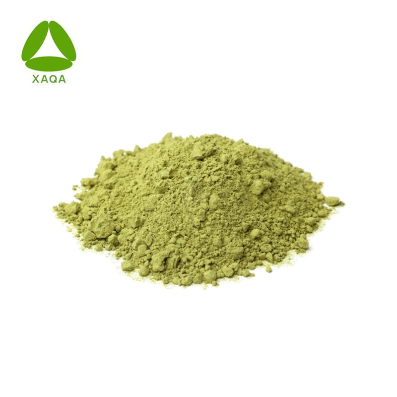 Industry Fashionable 10:1 Mulberry Leaf Extract Powder