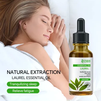 Wholesale Laurel Berry Oil Laurus Nobilis Leaf Oil Laurel Oil for Aroma Diffuser Candle