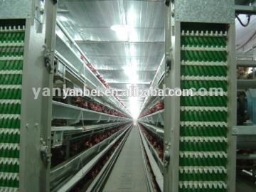 H-type Multi-tier Hot Galvanized Chicken Coop of Farm Factory Equipment