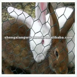 TUV Rheinland Galvanized or PVC coated Hexagonal Wire Mesh/light fencing for poultry,farms,rabbits and pet enclosures
