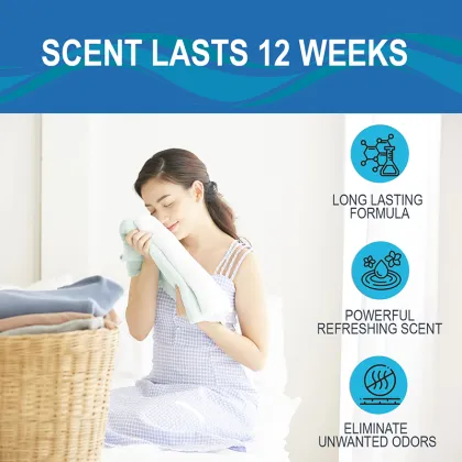 Wholesale POPOTIME Oud Laundry Scent Beads - Fabric Softener Booster