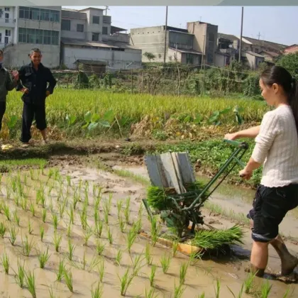 China Factory Wholesale Manual Rice Transplanter