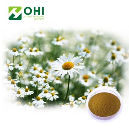 Chrysanthemum Flower Extract Instant Tea Powder
