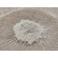 Ekstrak Panax Notoginseng
