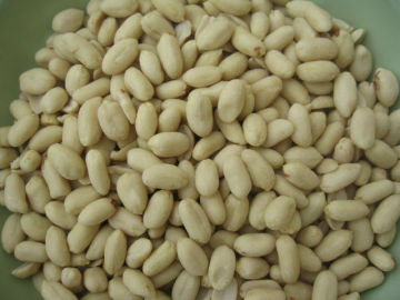 35/39 blanched peanut