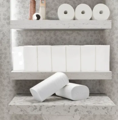 Coreless Roll Portable Home Use Toilet Tissues