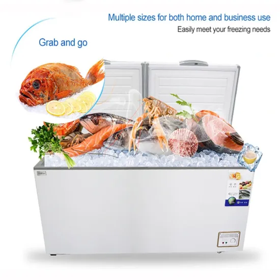 Commercial Horizontal Low Temperature Deep Freezer for Quick Frozen Salmon Seafood