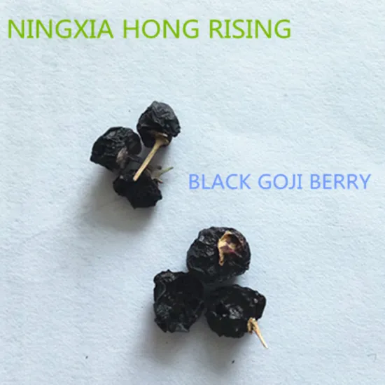 Best Chinese small Black Goji berry