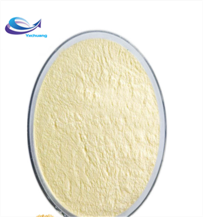 Organic Ginkgo Biloba powder