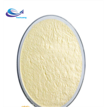 Organic Ginkgo Biloba powder