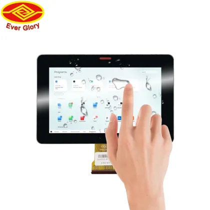 Ever Glory BOE INNOLUX 8 Inch Capacitive Touch Panel LCD Module with IPS TFT Display and MIPI Interface