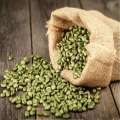 Groene koffieboon extract poeder 10: 1 afvallen