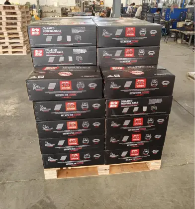 Hot Dipped Galvanized Coil Nails