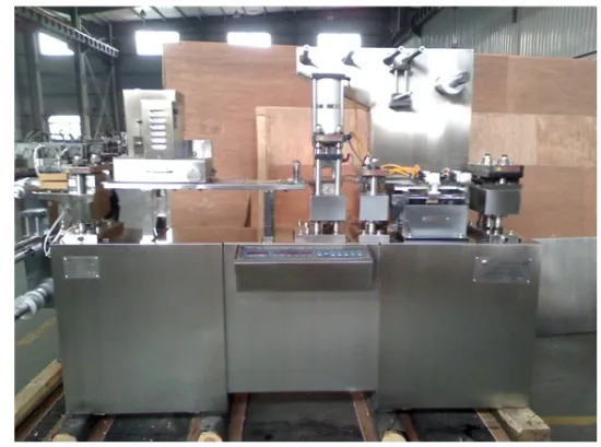 Hard capsule blister packing machine