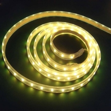 12V DC LED Waterproof Light Strip