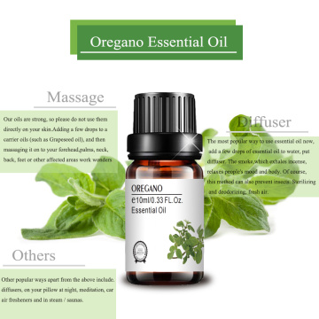 Wholesale bulk pure oregano essential oil bacteriostatic