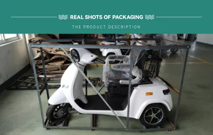 Affordable Customized Handicapped Scooters, Electric Tricycles, and Mobility Kick Mopeds for Adults