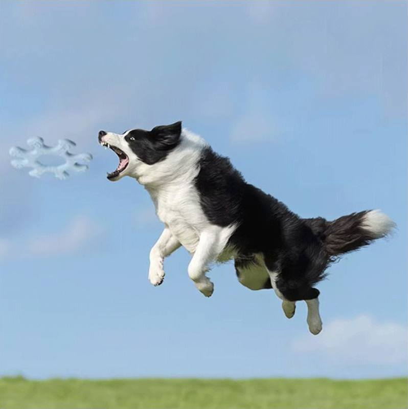 ইন্টারেক্টিভ পোষা ফ্লাইং সসার খেলনা