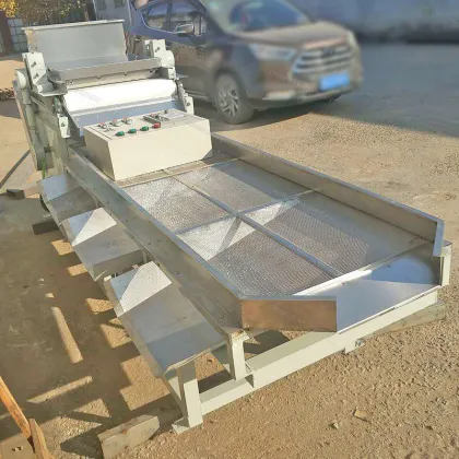 Low Price Nut Cutting and Chopping Machine for Macadamia, Areca, Melon Seeds, Pecans, and Pistachios