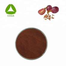 Extracto de semilla de uva en polvo Proantocianidina OPC 95%
