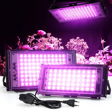 Phytolamp LED Grow Lights 50W-300W Full Spectrum for Hydroponics and Greenhouses
