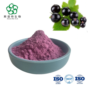 Superkvalitet Instant Black Currant Powder Extract