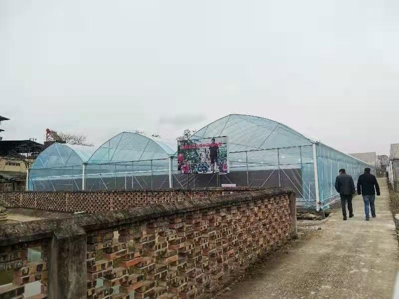 Empowering the Development of Modern Smart Agriculture: Qingcheng Agriculture’s Zhongxian Multi-Span Greenhouse Project Successfully Completed and Delivered