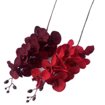 Phalaenopsis Orchid Butterfly Oil Painting for Wedding Decorations