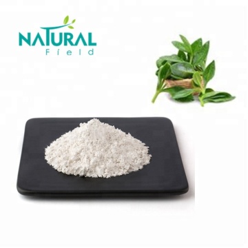 andrographis paniculata extract 98% andrographolide powder